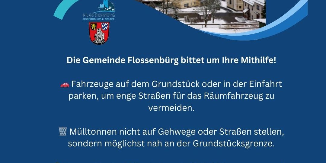 Blue And Dark Blue Modern Snow Removal Service Instagram Story (Facebook-Beitrag (Quadrat))