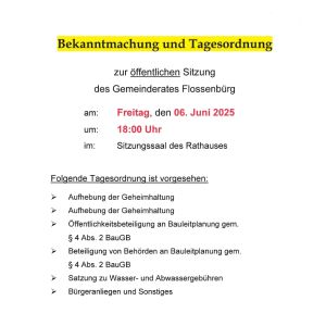 250606_Gemeinderatsitzung