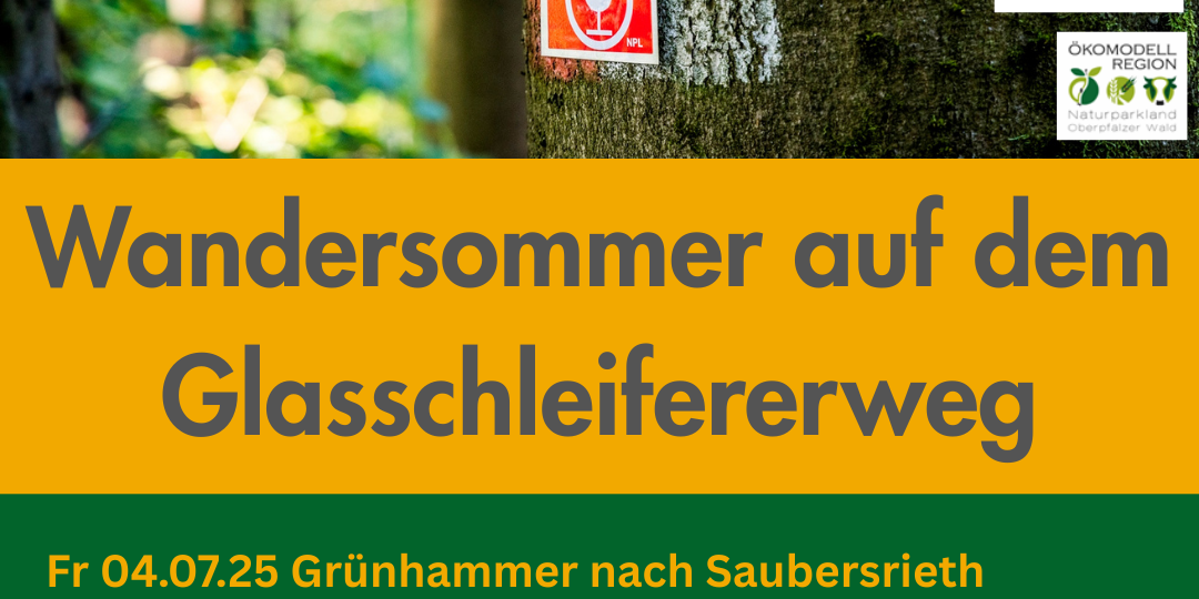 4 Grünhammer nach Saubersrieth_vorschau