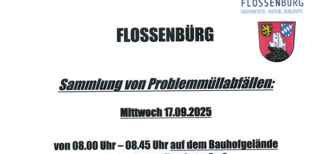 Problemmüllsammlung 2025_vorschau