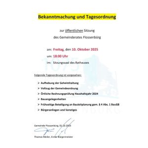 Gemeinderatssitzung 251010